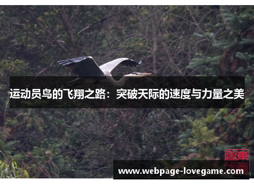运动员鸟的飞翔之路：突破天际的速度与力量之美