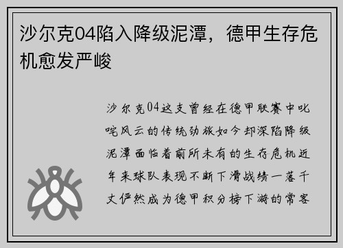 沙尔克04陷入降级泥潭，德甲生存危机愈发严峻